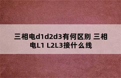 三相电d1d2d3有何区别 三相电L1 L2L3接什么线